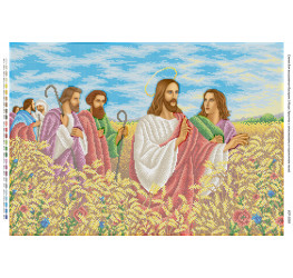 Иисус Христос с апостолами на пшеничном поле ([БСР 2058])